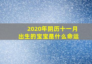 2020年阴历十一月出生的宝宝是什么命运