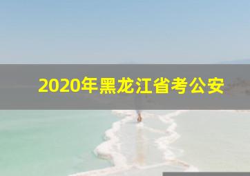 2020年黑龙江省考公安