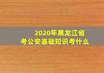 2020年黑龙江省考公安基础知识考什么