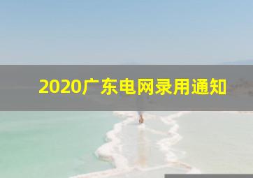 2020广东电网录用通知