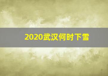 2020武汉何时下雪