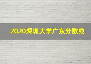 2020深圳大学广东分数线