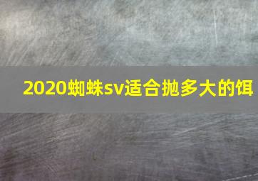 2020蜘蛛sv适合抛多大的饵