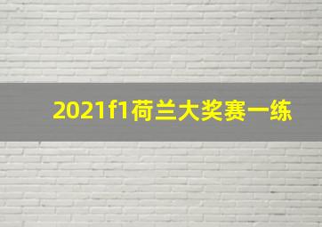 2021f1荷兰大奖赛一练