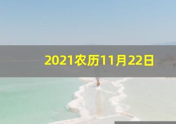 2021农历11月22日