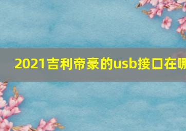 2021吉利帝豪的usb接口在哪