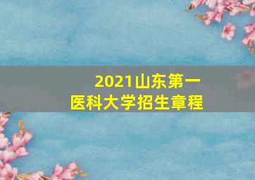 2021山东第一医科大学招生章程