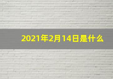 2021年2月14日是什么