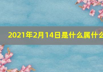 2021年2月14日是什么属什么