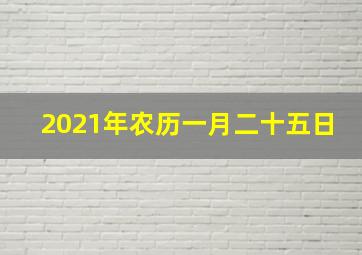 2021年农历一月二十五日