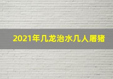 2021年几龙治水几人屠猪