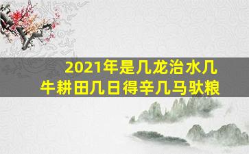 2021年是几龙治水几牛耕田几日得辛几马驮粮