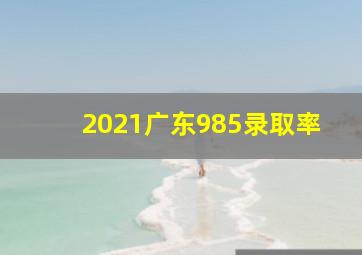 2021广东985录取率