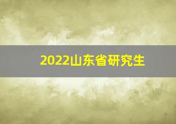 2022山东省研究生