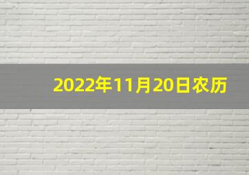 2022年11月20日农历