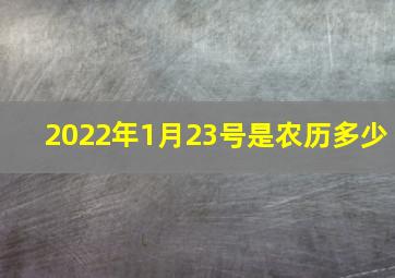 2022年1月23号是农历多少