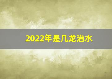 2022年是几龙治水