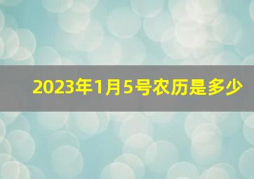 2023年1月5号农历是多少