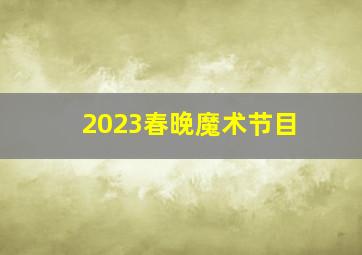 2023春晚魔术节目