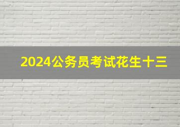 2024公务员考试花生十三