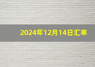 2024年12月14日汇率