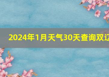 2024年1月天气30天查询双辽