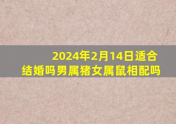 2024年2月14日适合结婚吗男属猪女属鼠相配吗