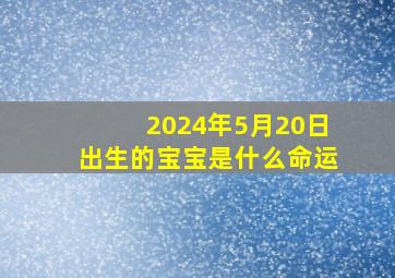 2024年5月20日出生的宝宝是什么命运