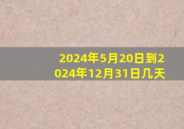 2024年5月20日到2024年12月31日几天