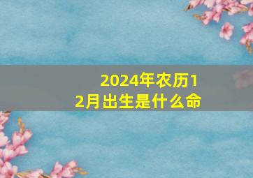 2024年农历12月出生是什么命