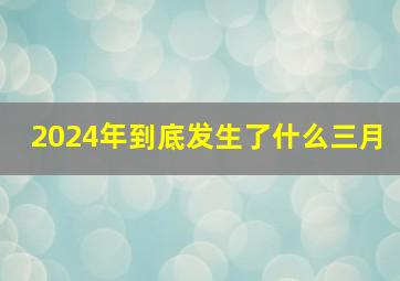 2024年到底发生了什么三月