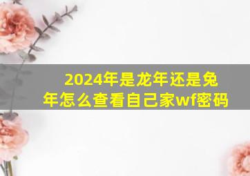 2024年是龙年还是兔年怎么查看自己家wf密码