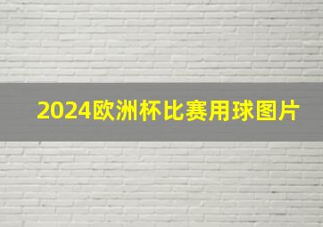 2024欧洲杯比赛用球图片