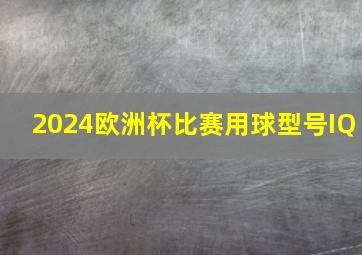 2024欧洲杯比赛用球型号IQ