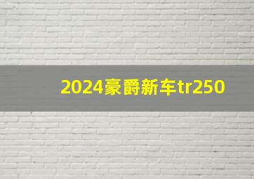 2024豪爵新车tr250