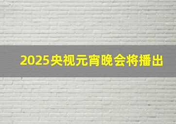 2025央视元宵晚会将播出