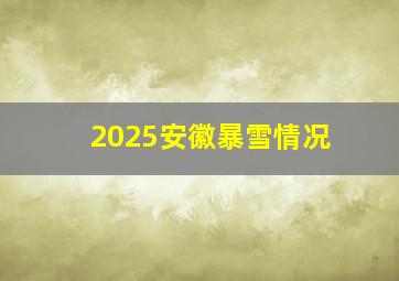 2025安徽暴雪情况