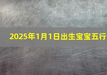 2025年1月1日出生宝宝五行