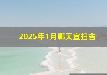 2025年1月哪天宜扫舍