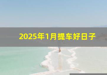 2025年1月提车好日子