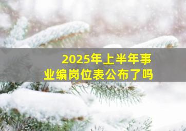 2025年上半年事业编岗位表公布了吗