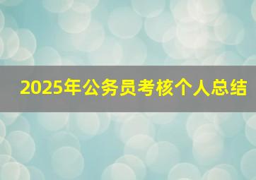 2025年公务员考核个人总结