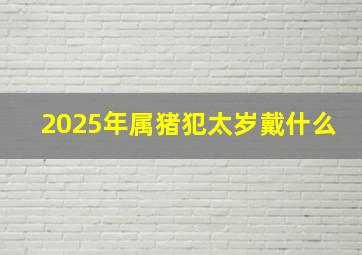 2025年属猪犯太岁戴什么