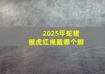 2025年蛇猪猴虎红绳戴哪个脚