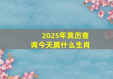 2025年黄历查询今天属什么生肖