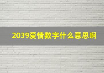 2039爱情数字什么意思啊