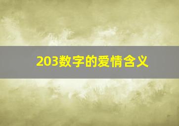 203数字的爱情含义