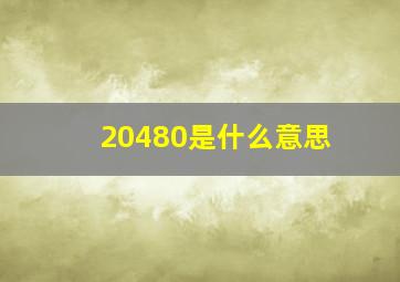 20480是什么意思