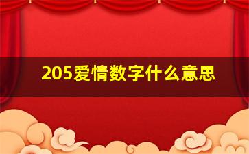 205爱情数字什么意思