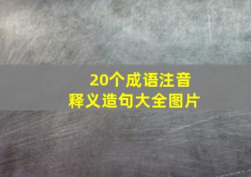 20个成语注音释义造句大全图片